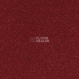Ковролин Radici Forum Rubino 2132 фото 1 | FLOORDEALER